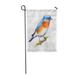 LADDKE Blue Painting Watercolor Bird Bluebird Branch Hand Beautiful Cute Garden Flag Decorative Flag House Banner 28x40 inch