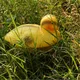 3pcs Baby Ducking Floating Duck Ducklings Fish Pond Ornament Plastic Decoy