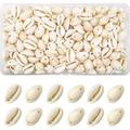 140 Natural Shell Beads with Hole to Thread Beige Spiral Cowrie Shells 16 to 18 Mm for DIY Jewelry or DIY Crafts
