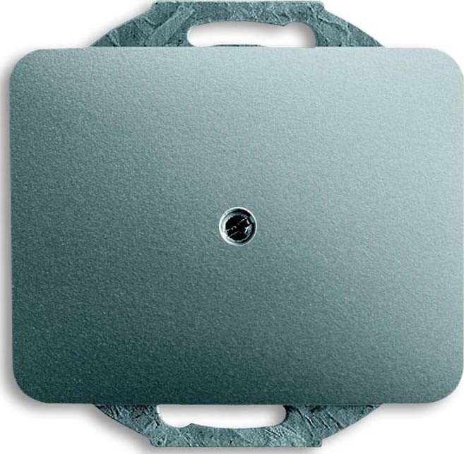 Busch-Jaeger Zentralscheibe ti 1742-266 2CKA001710A3335 Image