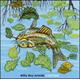 Billy Boy Arnold - Catfish CD Album - Used