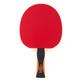 GEWO Table Tennis Bat Player - ITTF Approved Table Tennis Bat - High Control and Maximum Rotation Properties - Professional Table Tennis Bat for Attack Players, 2 mm Surface