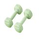 Dumbbel Fitness Dumbbells For Men And Women Home Exercise Dumbbells For Arm Muscle Training Home Fitness Equipment Barbell (Color : Green, Size : 3kg)