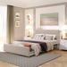 Beige, Grey Queen Size Metal Platform Bed with Big Drawer - Elegant Design, Maximized Storage, High-Quality Build, No Box Spring