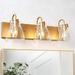 Bathroom Light Fixtures 3-Light Vanity Lights for Bathroom Bathroom Vanity Light with Clear Glass Shades 22 Inches