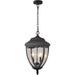 Outdoor Pendant Light Exterior Hanging Lantern 2-Light Outdoor Hanging Porch Light Matte Black Finish with Seeded Glass