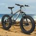 Glavbiku Unisex 20in Fat Tire Mountain Bike with High-Carbon Steel Frame 7 Speed for Child Gray