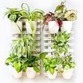 ShopLaLa Wooden Wall Planter - 2 Pack Wall Hanging Planters for Outdoor Plants Rustic White Wall Mounted Wood Ladder for Flower Pots Holder Vertical Herb Garden System Green Decor 23.6" (60cm)