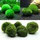 Marimo Moss IkLive Aquarium Plant Algues Poisson Shriajprecious Ornement Simulation d'Algues