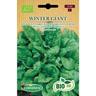 Germisem Biologico Winter Giant Semi di Spinaci 5 g