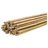 Tutori di bambù, Tutori di bambù ø 6-8 mm, Confezione 25 unità, uso agricolo per il fissaggio di