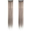 Hanging Ear Dye Highlight Hair Extensions Wigs Colored 2 PCS Charming Temperature Wire Straight Human