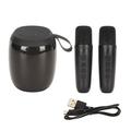 Microphone Bluetooth Speaker with 2 Microphones RGB Light Karaoke Machine Speaker Microphone Set for Indoor Outdoor Black