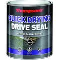 Thompson's Quick Drying Drive Seal