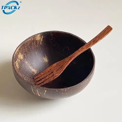 Natürliche Kokosnuss schale und Löffel Kokosnuss schale kreative Obsts alat Nudel Reis Ramen