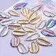 6Pcs/Lot Stainless Steel Big Marine Life Sea Animal Cowrie Conch Shell Charms For Women Summer