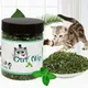 Menthes soins dentaires pour animaux compagnie friandises à menthe pour chat pour une haleine