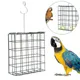 Mangeoire pour oiseaux Cube vert conteneur de nourriture extérieur oiseaux sauvages perroquet