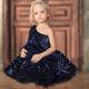 Kids Girls' Dress One Shoulder Sequins A Line Dress Party Birthday Ruched Mesh Navy Blue Above Knee Short Sleeve Princess Cute Dresses Fall Summer Regular Fit 3-12 Years
