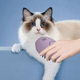 Massage Usb Charging Cat Grooming Brush Atomizing To Remove Floating Hair Purple