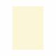 Daler-Rowney Canford Card A1 Ivory 033