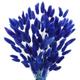 Pampas Grass Decor,100Pcs Bunny Tails Dried Flowers White Natural Dry Pampas Rabbit Tails Grass for Vase Arrangement Wedding Home Hotel Decoration Dark Blue