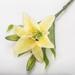 Fnochy Artificial Tiger Lily Real Touch Lily Easter Lily Fake Spring Flowers for Wedding Home Party Easter Decoration Plastic Lily Faux Flowers (Yellow)