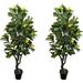 YONG Pair 4 Feet Gorgeous & Lifelike Six-Branch Artificial Trees with Various Size Lemon Fruits with Nursery Pot Real Touch Tech 48 Yellow and Green 4 Count