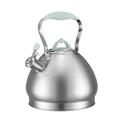 Stove Top Kettle Tea Kettle Stovetop Kettle for Stove Top Stove Top Whistling Tea Kettle Stovetop Stainless Steel Kettles with Handle Whistling Tea Kettle