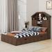Latitude Run® Kymorra Bookcase Storage Bed Wood in Brown | 48.8 H x 40.6 W x 80 D in | Wayfair FAAE3B6336524ABF889AD9BA1EE677CB