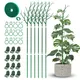 2/4/6Pcs Twig Plant Support Bracket Tree Branch Plants Stakes Detachable Orchid Clip Trellis for