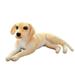 Golden Retriever Dog Throw Pillow Plush Cushions Animal Dog Plush Stuffed Doll for Children Boys Girls 50CM Type 2