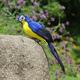 Zynic Sculptures & Statues Colorful Parrots Artificial Birds Model Outdoor Home Garden Tree Decor Home & Garden