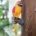 Zynic Card Slot Macaws Resin Lifelike Ornament -d Decor Outdoor Garden Statue Yard Parrot Patio & Garden Home & Garden