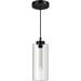 Ivy Bronx Industrial Hanging Ceiling Lamp w/ Clear Glass Shade | Wayfair EF9EC38FB83C404F87520D1D0DDE981F
