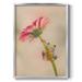 Winston Porter Brushstroke Badlands I Framed Print Canvas, Solid Wood in Green/Pink | 20 H x 16 W x 1 D in | Wayfair
