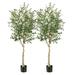 WANCQ 2 Pack Artificial Olive Trees 6 FT Fake Potted Tree for Indoor & Outdoor Decor Realistic Olive Branch & Fruits Faux Olive Silk Tree with 1296 Leaves 72 Fruits for Home Office Garden