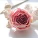 YZYT Beautiful Rayon Fake Flowers Clothing Decoration Wedding Lover s Bouquet Bridal Decoration Home Decoration Corsage Hair Accessories Small Flower Decoration Pure Color Pretty Bouquet