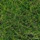 bedding mill Cape Verde 40mm Artificial Grass Super Soft, Premium Artificial Grass, Plush Artificial Grass, Pet-Friendly Artificial Grass