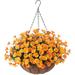 Primrue Hanging Basket Arrangement in Basket Plastic in Orange | 20 H x 14.5 W x 14.5 D in | Wayfair B9A3C403C8AC41D886E42BBC6C56384A