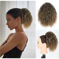 Loose Wavy Curly Messy Bun Hair Piece for Thinning Hair Pieces for Women Short Drawstring Ponytail Extensions for Women Synthetic Hairpieces Pony Tails Hair Extensions for Women