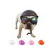 VICOODA Pet Funny Cool Motorcycles Bike Helmet Hat Adjustable Dog Hat