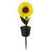 Solar Lights for Outside Bright Sunflower Shape Solar LED Lights 2 Pack Garden Waterproof Decorative with Stake for Outdoor Yard Pathway Outdoor Patio Lawn