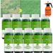 Seed Spray Liquid grass seeds for lawn- Liquid Seeding Grass Lawn Green Spray seed spray liquid natural green grass paint for lawn (10pcs)