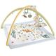 Fisher-Price Simply Sense Newborn Gym Playmat