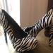 Jessica Simpson Shoes | Jessica Simpson Dyed Animal Fur Nwot Platform Stilettos | Color: Black/White | Size: 7.5