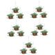 BESTonZON 15 Pcs Doll House Potted Plant Mini Potted Plant Artificial Mini Dollhouse Household Decor Miniature Adornment Home Decor Desk Plants Tiny Home Furniture Toy Trinkets Resin Indoor