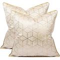 Throw Pillow Covers Sofa Living Room Luxury Silk Cushion Cover Beige Champagne Gold Modern 3D Geometric Jacquard Decorative Pillow Cases,2Pieces-50X50cm