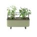 Vego Garden Mini Herb Metal Outdoor Pot Planter w/ Trellis Metal in Green | 7.2 H x 7.3 W x 17.5 D in | Wayfair VPHPGN