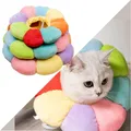 Rainbow Sunflower Elizabethan Cat Collar Harness For Cats Dogs Wound Healing Protection Cat Recovery